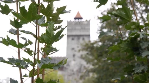 High tower of a castle in the forest 7 Stock Footage 58210464