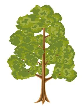 High tree Illustrazione stock