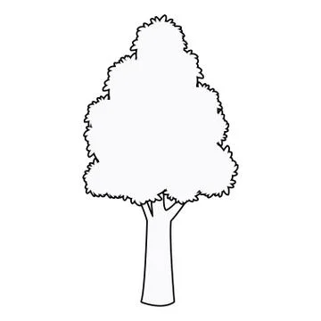 High tree leaf wood bark plant outline Stock Illustration
