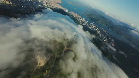 High Vertical Dive Over Lush Forest and Moving Clouds Aerial FPV Stock Footage 319415370