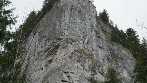 High vertical limestone cliff in Tatra Mountains Poland with pine trees Stock Footage 335127152