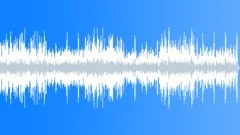 High Vibrancy Jazz Manouche Incidental BGM Stock Music