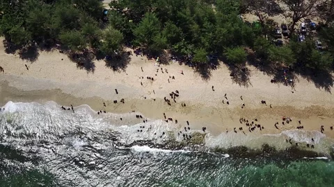 High view angle of beach Stock Footage 242419730