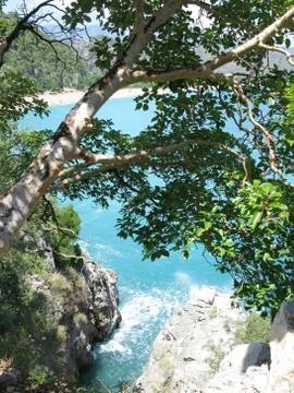 High view of coastline through tree leaves Stock Photos