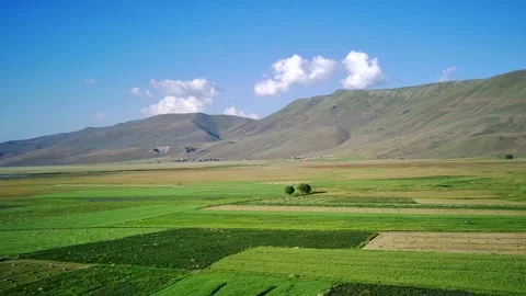 High view of divided green fields, background mountain landscape. Stock Footage 207442032