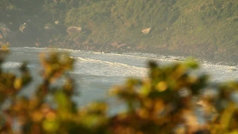 A high view of a hidden beach in Florianópolis Stock Footage 90939191
