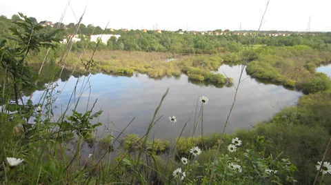 High view of Lake in England Stock Footage 39243528