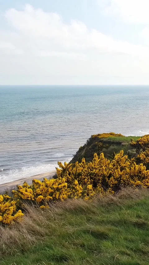 High up view over looking the North Sea Stock-Footage 307349841