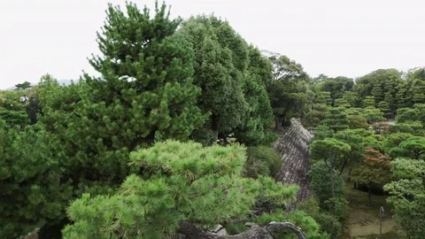 High view pan of Nijou-Jo Castle from the Castle, Kyoto Vídeo Stock 82016030