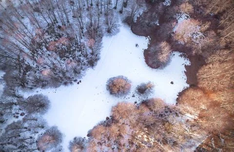 High view Foto stock