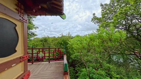 High up view through the trees 스톡 동영상 315377346