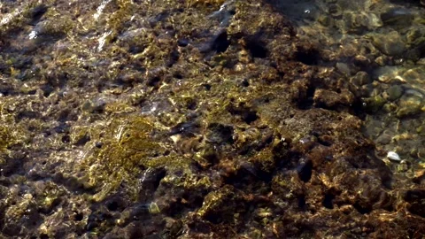High view transparent water on the rocks. 库存影片 315439089