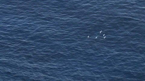 High view of wave patterns on the oean, Oahu, Hawaii. Stock Footage 252777801