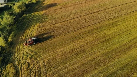High viewing angle of the harvester working in the field. The concept of the 動画素材 123054238