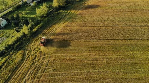 High viewing angle of the harvester working in the field. The concept of the Stock Footage 123456572