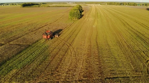 High viewing angle of the harvester working in the field. The concept of the Stock Footage 123458052