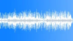 High Vigour Acoustic Incidental BGM in G majorStock Music