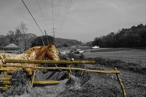 High voltage cable construction site above a quiet appaloosa horse. Stock Photos
