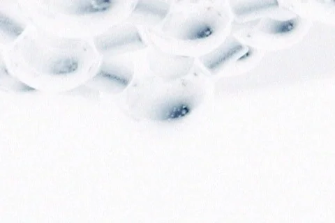 High Voltage Electrical Discharge Stock Footage 78604