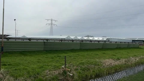 High-voltage electricity lines above a peaceful countryside with horses, gr.. Stock-Footage 334078479
