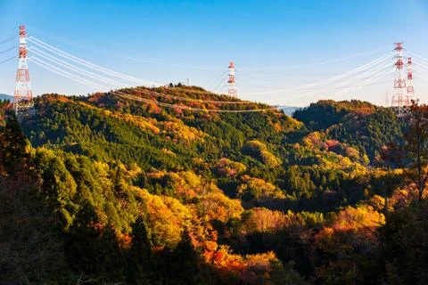 High voltage electricity post over colorful forest on mountain Stock Photos