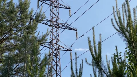 High Voltage Electricity Transmission Tower in Pine Forest Vídeo Stock 336341008