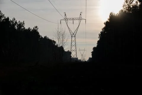 A high-voltage line running through a dense coniferous forest Stock Photos