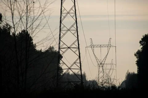 A high-voltage line running through a dense coniferous forest Stock Photos