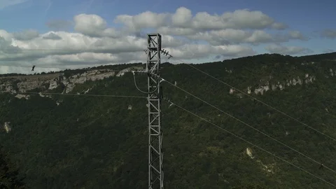 High voltage line through Vast forest on a sunny summer day, woods countryside. 스톡 동영상 119358958