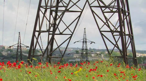 High-voltage lines and poppies. Stock Footage 35106912
