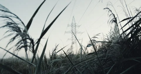 High voltage lines and power pylons in a flat and green agricultural landscape Stock Footage 138505284