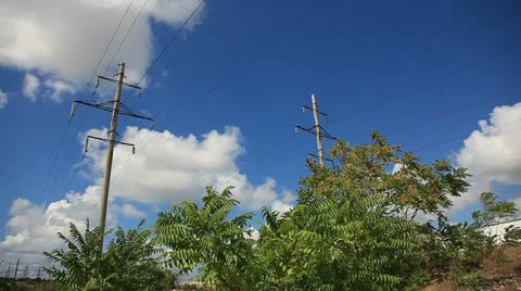 High-voltage lines. Stock Footage 11771833