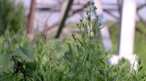 High voltage post or High voltage tower Stock Footage 50157673