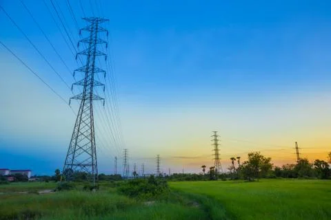 High-voltage post tower in Jasmine rice field at twilight time background. Foto stock