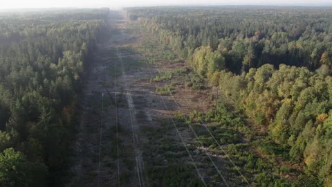 High-voltage power line in a forest clearing. 库存影片 165069738
