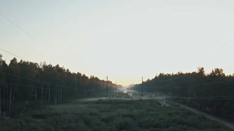 High voltage power line in the forest in fog in the morning Stock Footage 172360157