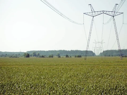High voltage power lines and pylons Stock Footage 81140453