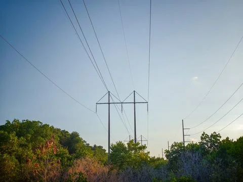 High Voltage Power Lines and Transmission Towers Above Green Forest Stock Photos
