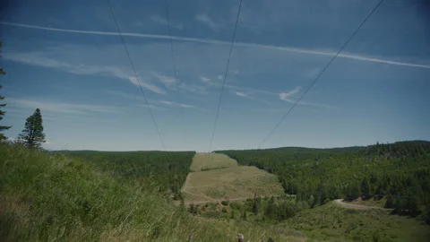 High voltage power lines with cleared forest path in background Stock-Footage 232427516