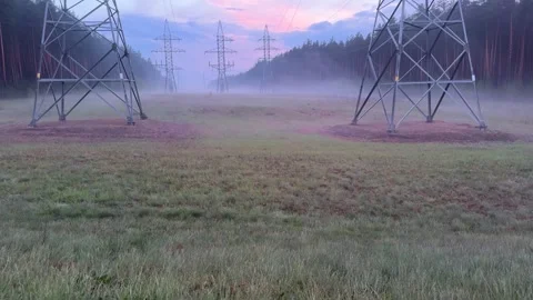 High voltage power lines in a clearing in a foggy pine forest at dawn Video stock 336407749