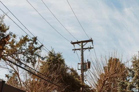High voltage power lines extend above tall trees on a clear day with clouds.. Foto stock