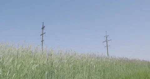 High voltage power lines. Stock Footage 132265487