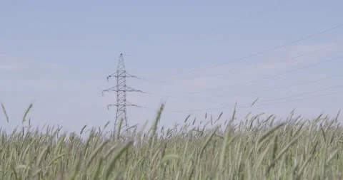 High voltage power lines. Video stock 132265957