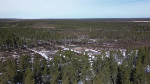 High voltage power lines in forest in April, Finland Stock-Footage 306746462
