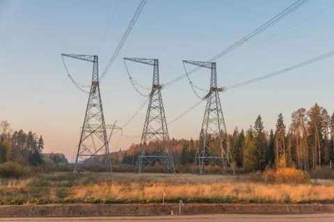 High-voltage power lines in the forest among the trees 库存照片