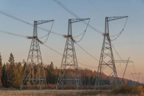 High-voltage power lines in the forest among the trees Stock Photos