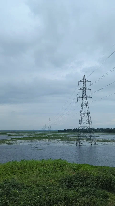 High Voltage Power Lines Over Wetland Landscape | 4K Stock Video Stock Footage 312050505