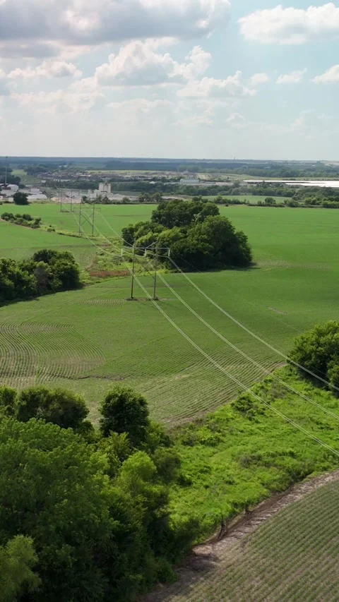 High Voltage Power Lines Over Green Farm Fields Stock Footage 338366152