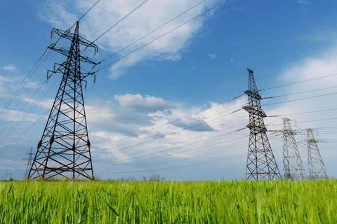 High-voltage power lines passing through a green field, on the background of  Fotos de archivo