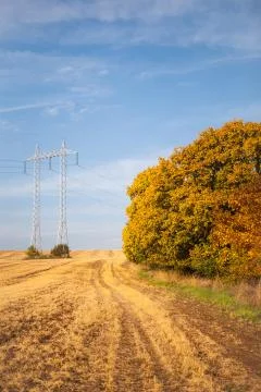 High-voltage power lines Foto stock